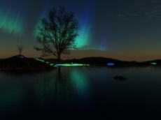 Metasiberia photo