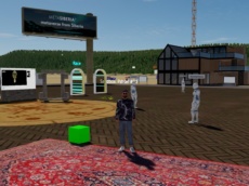 Metasiberia photo